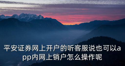平安證券網(wǎng)上開戶的聽客服說也可以app內網(wǎng)上銷戶怎么操作呢