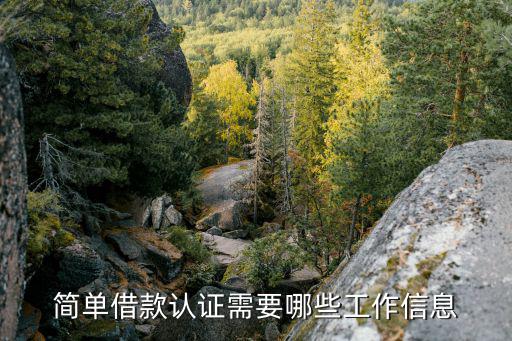 簡單借款認(rèn)證需要哪些工作信息