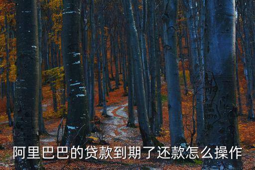 阿里巴巴的貸款到期了還款怎么操作