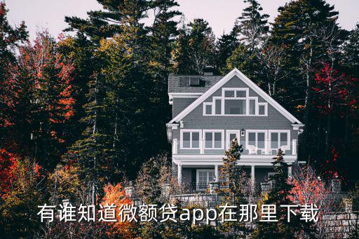 微量貸怎么下載，有誰知道微額貸app在那里下載