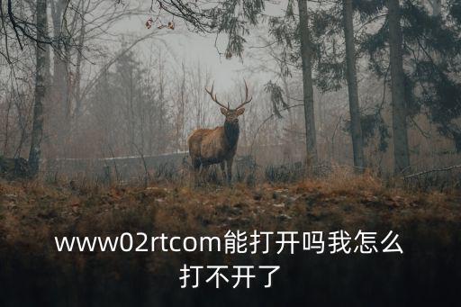 www02rtcom能打開嗎我怎么打不開了