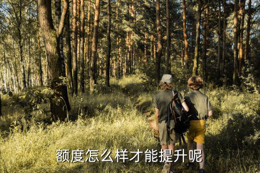 360借條額度怎么提高，額度怎么樣才能提升呢
