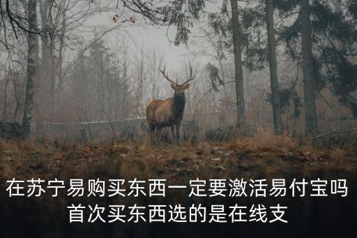 在蘇寧易購(gòu)買(mǎi)東西一定要激活易付寶嗎首次買(mǎi)東西選的是在線支
