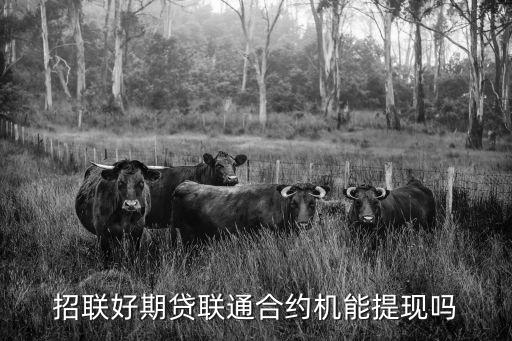 招聯(lián)聯(lián)通合約額怎么用，招聯(lián)好期貸聯(lián)通合約機(jī)能提現(xiàn)嗎