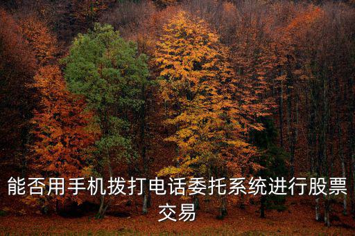 手機(jī)炒股委托怎么辦理，手機(jī)可以設(shè)置委托炒股嗎