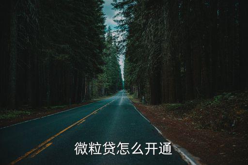 微粒貸怎么開通