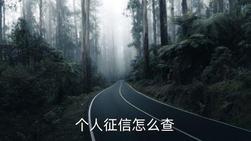 征信查詢怎么查，個人征信怎么查