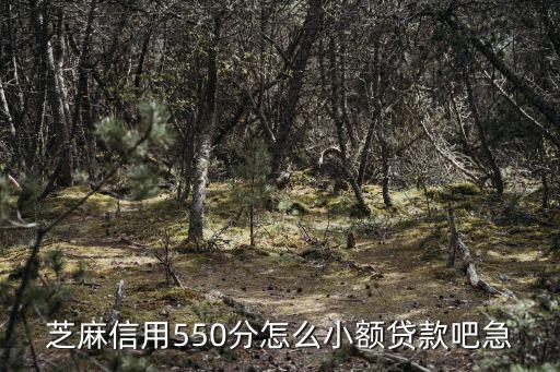芝麻信用550分怎么小額貸款吧急