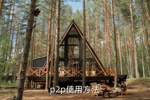 p2p理財(cái)怎么操作，p2p怎么 使用
