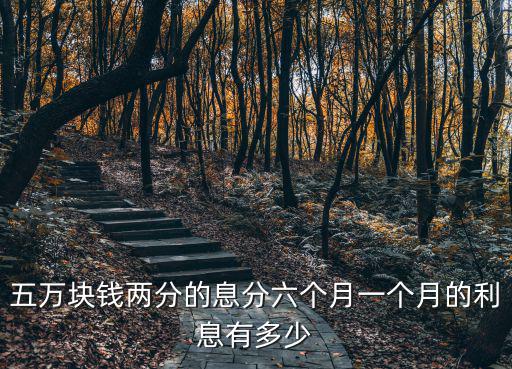 五萬(wàn)塊錢(qián)兩分的息分六個(gè)月一個(gè)月的利息有多少