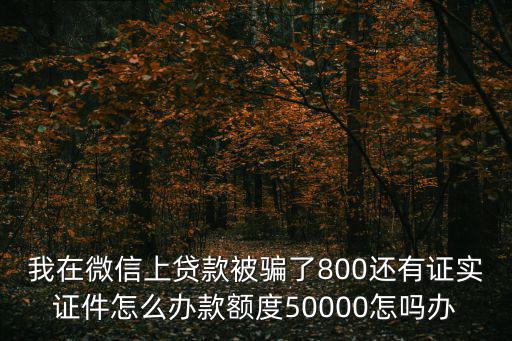 微信貸款騙了怎么辦，微信貸款被騙了怎么辦