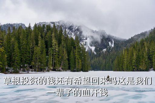 草根投資被騙了怎么辦，草根投資的錢還有希望回來嗎這是我們一輩子的血汗錢