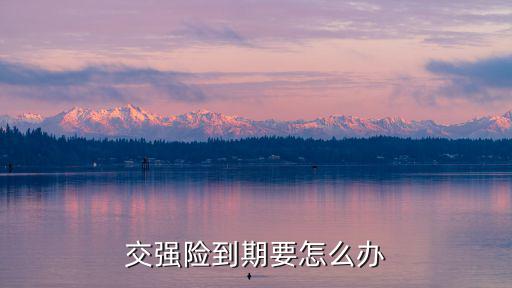 交強(qiáng)險到期要怎么辦