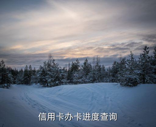 信用卡辦卡進(jìn)度查詢