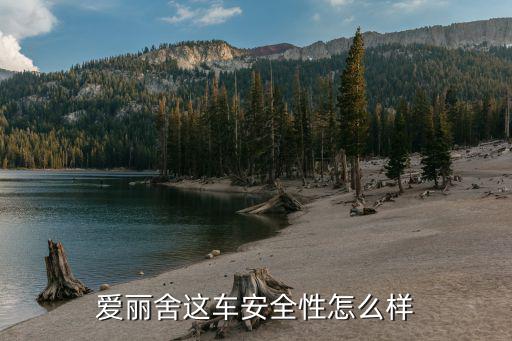 愛(ài)麗舍這車(chē)安全性怎么樣