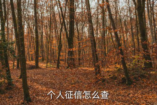 個人征信怎么查