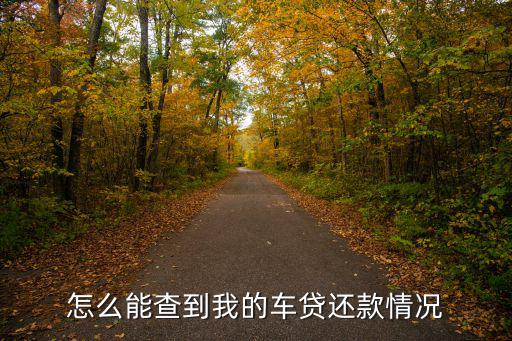 車貸怎么查詢還款記錄，怎么能查到我的車貸還款情況