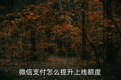 微信支付怎么提升上線(xiàn)額度