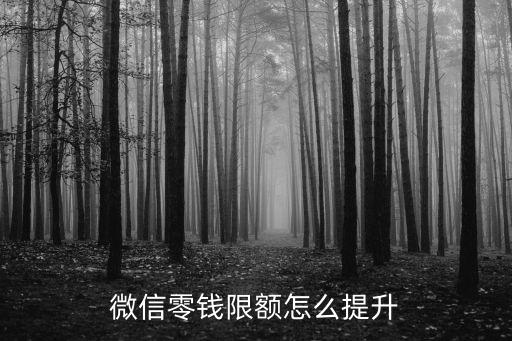 微信零錢限額怎么提高，微信年限額怎么設(shè)置提升