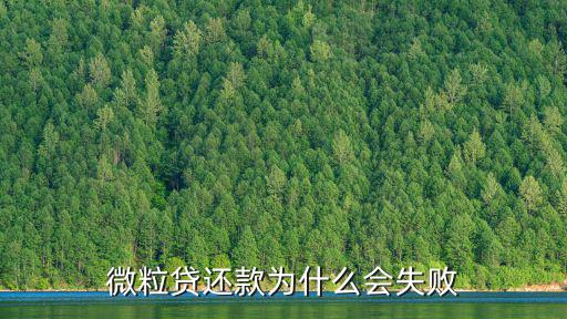 微粒貸借款失敗怎么辦，微信的微粒貸怎么申請(qǐng)不了