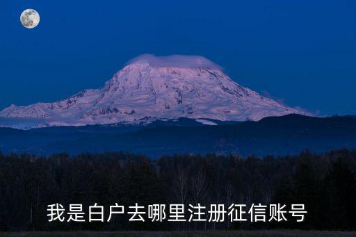 白戶怎么注冊(cè)網(wǎng)查征信，個(gè)人信用查詢?cè)趺醋?cè)
