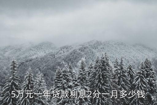 5萬(wàn)元一年貸款利息2分一月多少錢(qián)