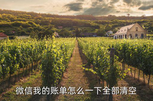 微信我的賬單怎么一下全部清空