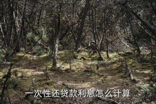 一次性還貸款利息怎么計算