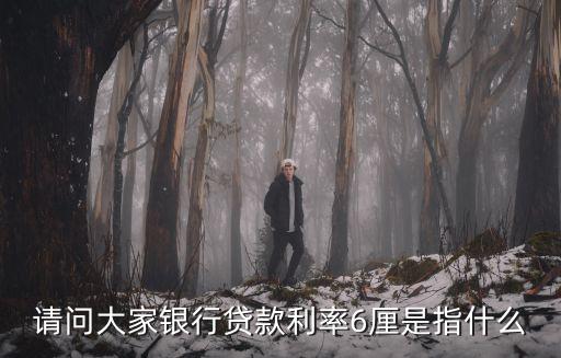 請問大家銀行貸款利率6厘是指什么