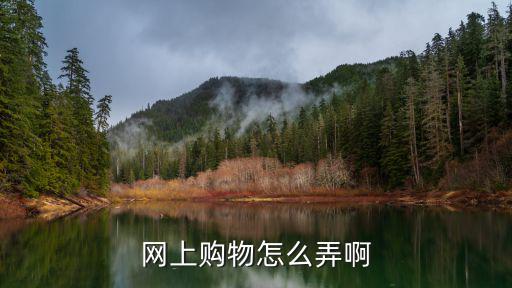 網(wǎng)上購物怎么弄啊