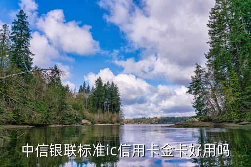 中信銀聯(lián)金卡怎么樣，中信悅卡銀聯(lián)金卡好嗎最低額度是多少我見年費(fèi)好貴啊能分期