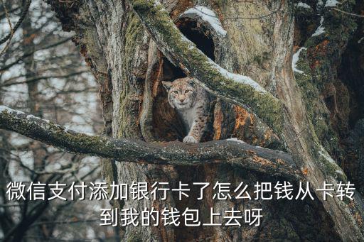 微信支付添加銀行卡了怎么把錢從卡轉(zhuǎn)到我的錢包上去呀