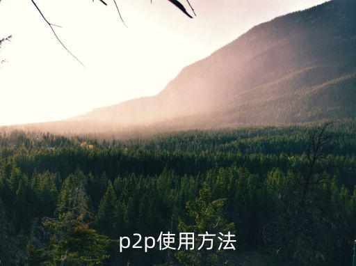 p2p使用方法