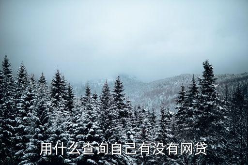 怎么查自己有沒有網(wǎng)貸，用什么查詢自己有沒有網(wǎng)貸