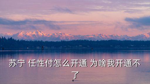 蘇寧 任性付怎么開(kāi)通 為啥我開(kāi)通不了
