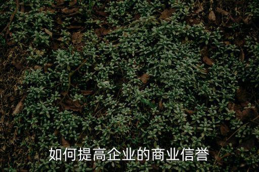 良好的商業(yè)信譽怎么寫，企業(yè)信譽情況怎么填