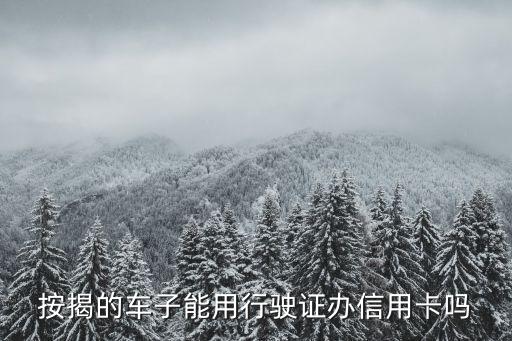 按揭的車子能用行駛證辦信用卡嗎