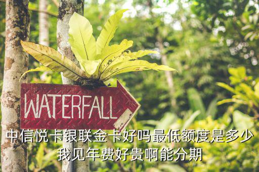 中信悅卡銀聯(lián)金卡好嗎最低額度是多少我見(jiàn)年費(fèi)好貴啊能分期