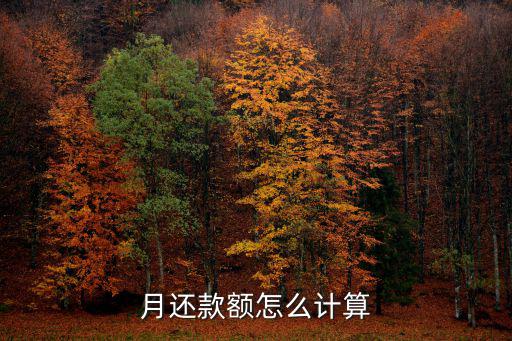 月還款額怎么計(jì)算