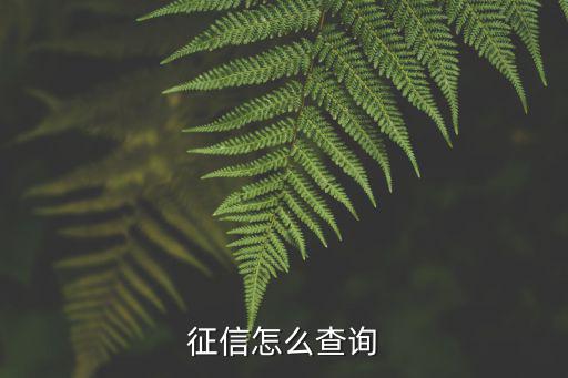 怎么征信中心查詢，個人征信怎么查