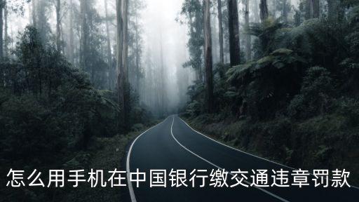 怎么在銀行交交通罰款，怎么用手機在中國銀行繳交通違章罰款