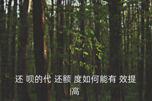 還 唄的代 還額 度如何能有 效提高