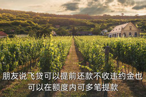 朋友說飛貸可以提前還款不收違約金也可以在額度內(nèi)可多筆提款
