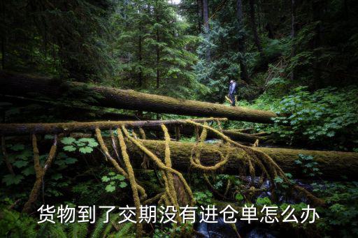 貨物到了交期沒有進(jìn)倉單怎么辦
