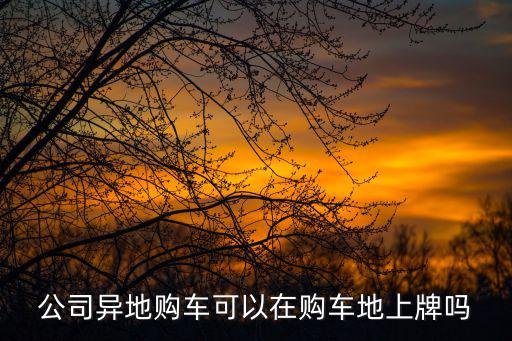 公司異地購(gòu)車可以在購(gòu)車地上牌嗎