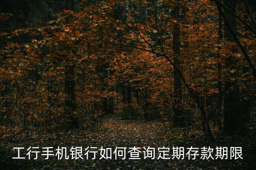工行手機(jī)銀行如何查詢定期存款期限