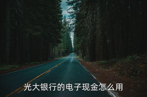 光大銀行的電子現(xiàn)金怎么用