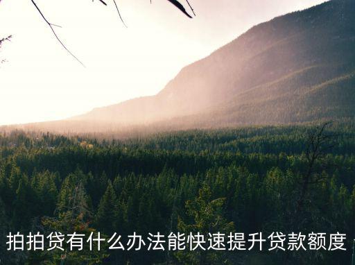 拍拍貸有什么辦法能快速提升貸款額度