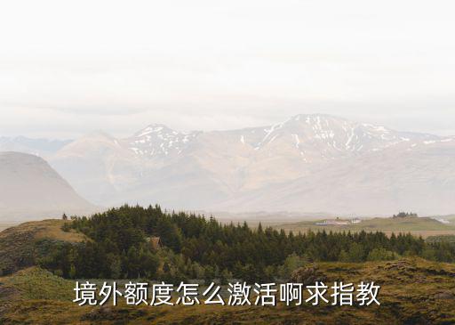 境外額度怎么激活啊求指教