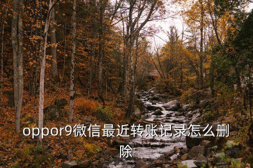 微信轉(zhuǎn)賬紀(jì)錄怎么刪除，微信錢包那個轉(zhuǎn)賬記錄怎樣才能一下全部刪除了